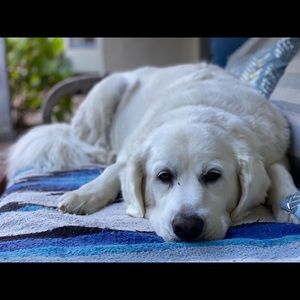 Meet your Posher, Seth